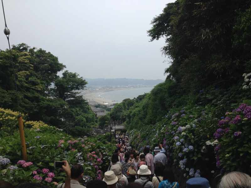 鎌倉～江ノ島
