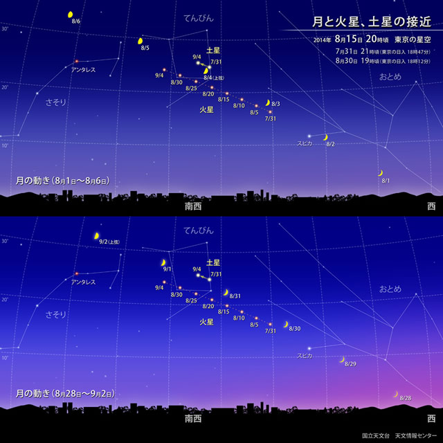 星空情報【８月下旬】