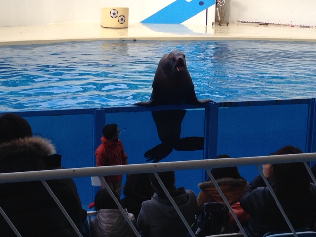 水族館