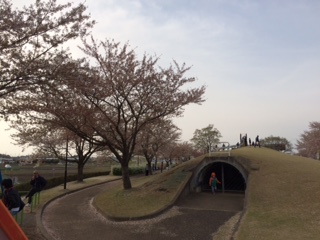 ☆公園☆