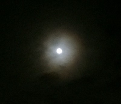 ｍoon☾