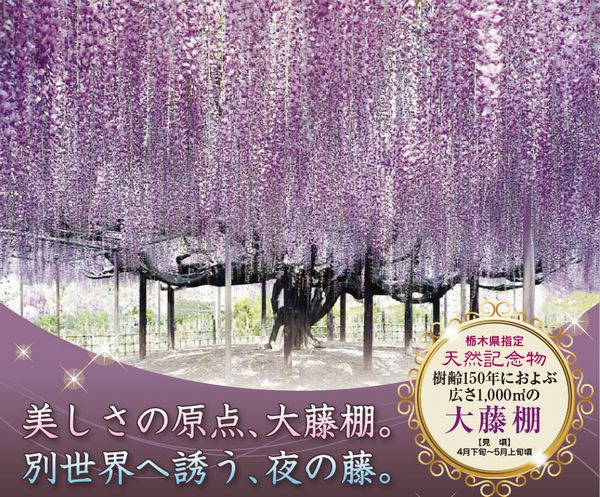 世界も認める！！