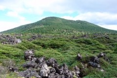 久々の登山。