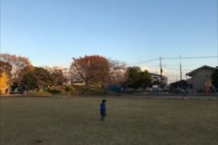 公園