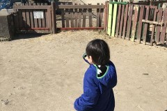 動物園