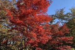 テレワーク時代は両毛エリアで暮らしてみませんか？