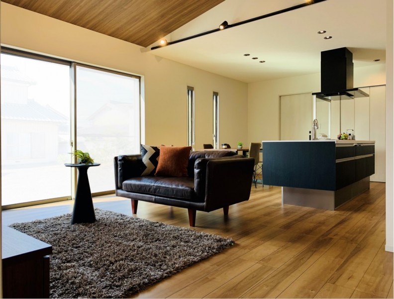 平屋勾配天井アイランドスポット