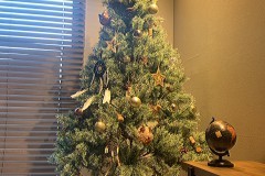 クリスマスツリー対決