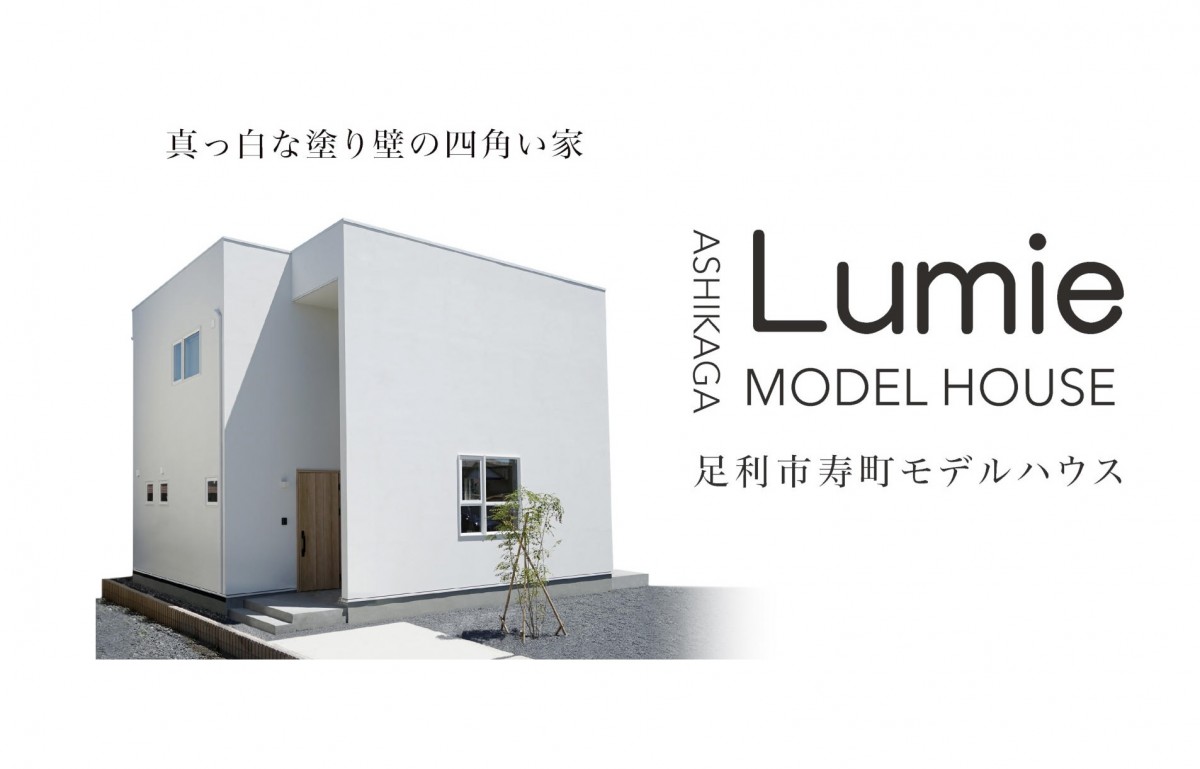 新しい動画をUPしました。